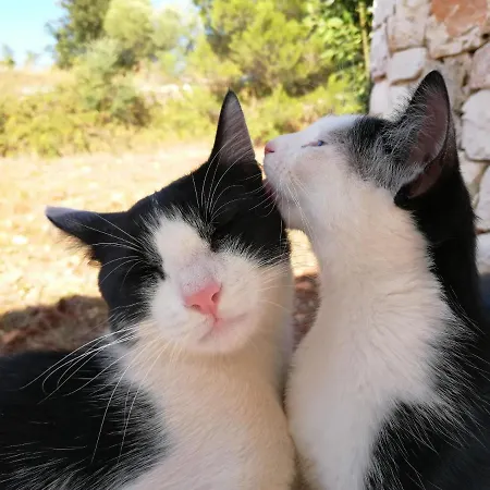 Tramonti D'itria Ostuni
